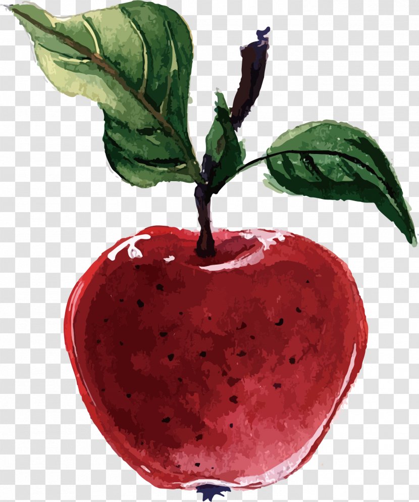 Vector Packs Plant-based Diet Adobe Illustrator - Natural Foods - Red Apple Transparent PNG