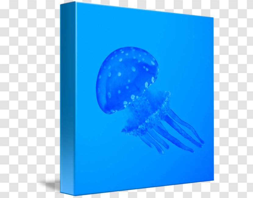 Jellyfish Font - Marine Invertebrates - Blue Transparent PNG