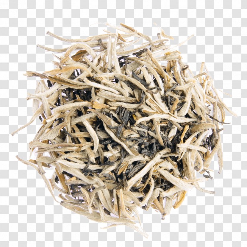 Baihao Yinzhen Anchovy - Whitebait - Cha-cha-cha Transparent PNG