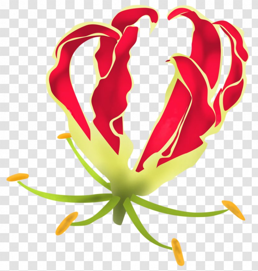 Gloriosa Superba Lilium Flower DeviantArt - Climbing Transparent PNG