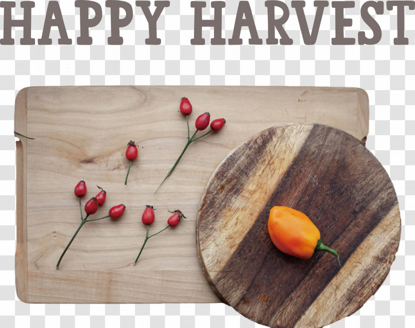 Happy Harvest Harvest Time Transparent PNG