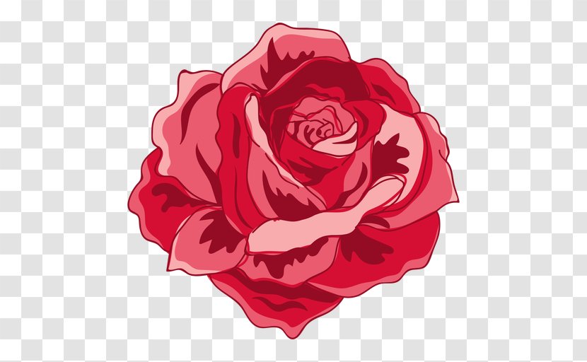 Garden Roses Centifolia Floribunda Clip Art - Rose Family - Flower Transparent PNG