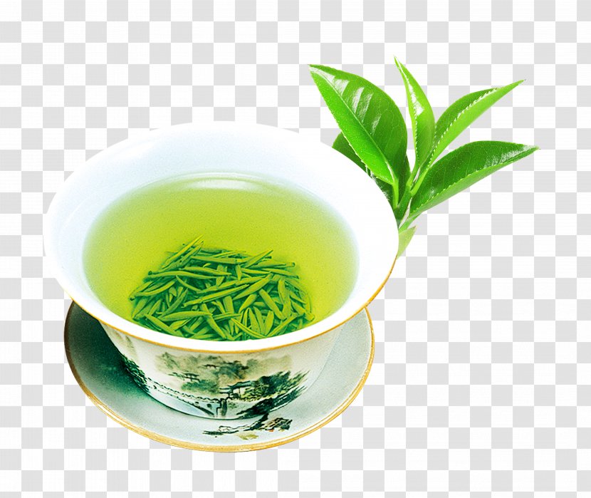 Green Tea Flowering Culture - Alternative Medicine - Fresh Transparent PNG