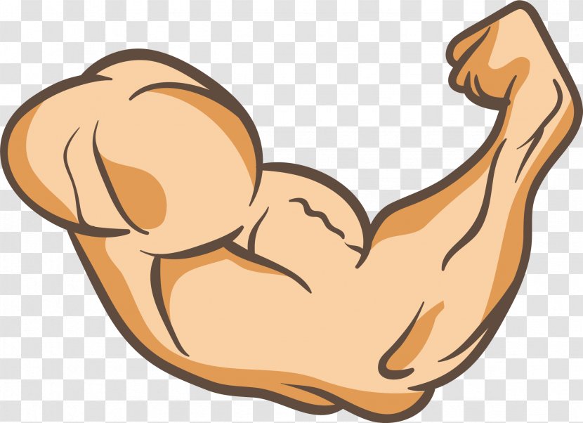 Arms Thumb Muscle Clip Art - Heart - A Powerful Arm Transparent PNG