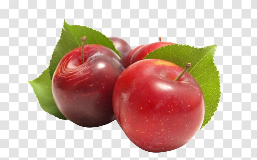 Barbados Cherry Prunus Sect. Auglis Fruit - Food - Design Transparent PNG
