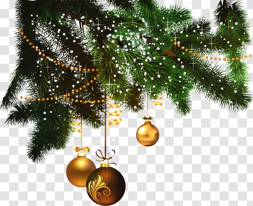 Christmas Lights Cartoon - Colorado Spruce - American Larch Transparent PNG