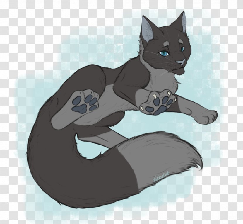 Black Cat Kitten Whiskers Dog - Tail Transparent PNG
