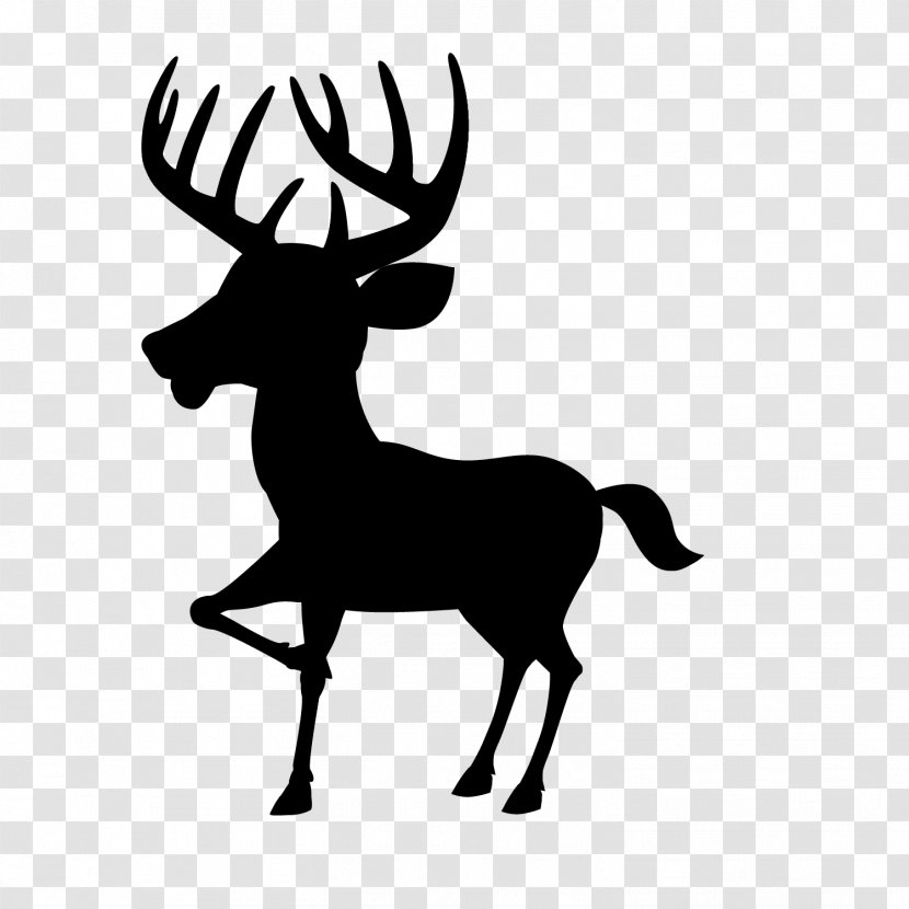 White-tailed Deer Vector Graphics Moose Clip Art - Antler - Head Transparent PNG