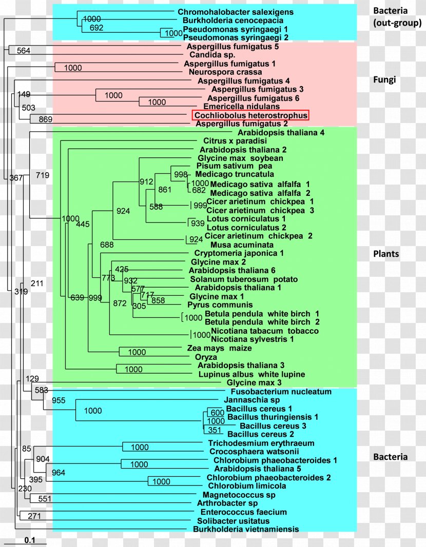 Screenshot Green Line Diagram Font Transparent PNG