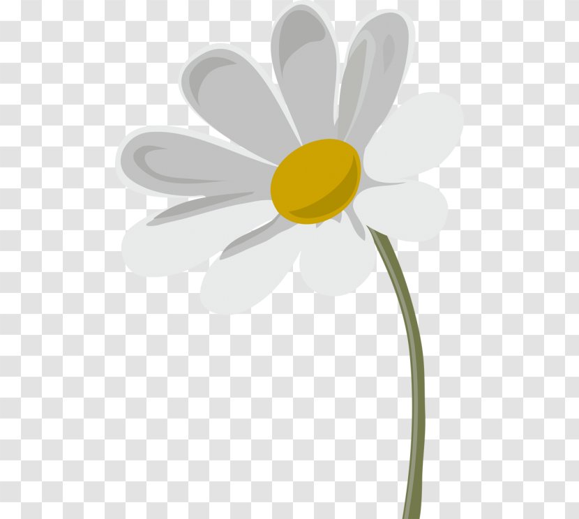 Oxeye Daisy Chamomile Advertising Petal - Plant Stem - Yellow Transparent PNG