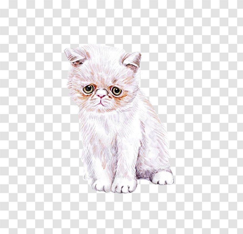 Cat Kitten Watercolor Painting Cuteness - Resource - Hand Painted Cute Transparent PNG