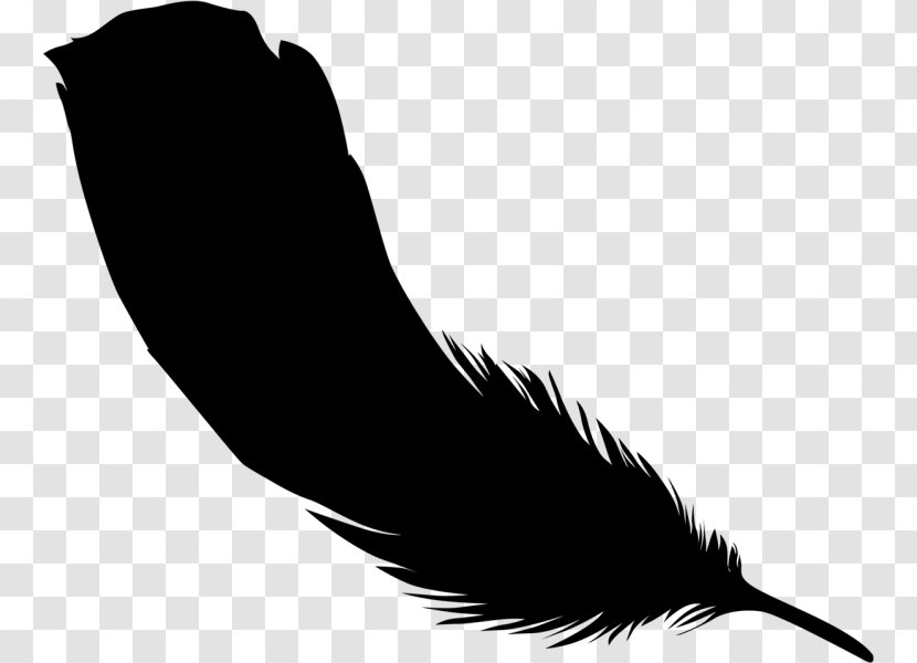 Clip Art Beak Feather Silhouette Black M Transparent PNG
