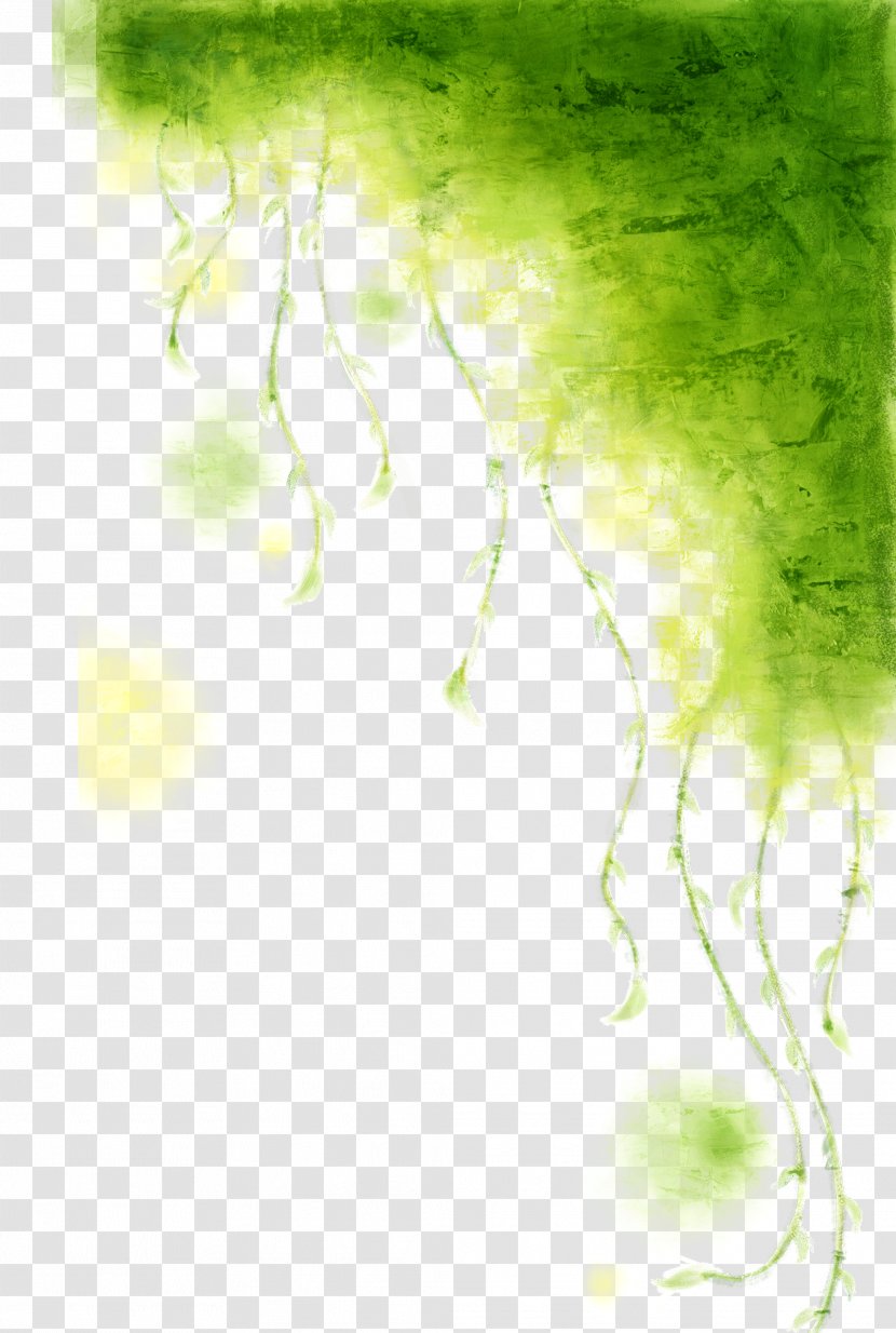 Vine Watercolor Painting Green - Ipomoea Quamoclit - Dream Shading Transparent PNG