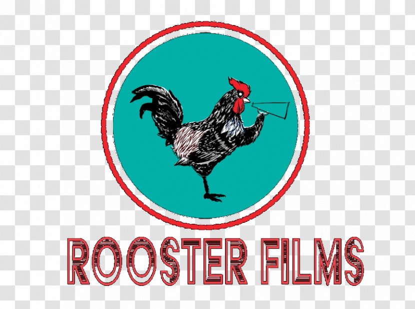 Rooster Chicken Film Bird Phasianidae Transparent PNG