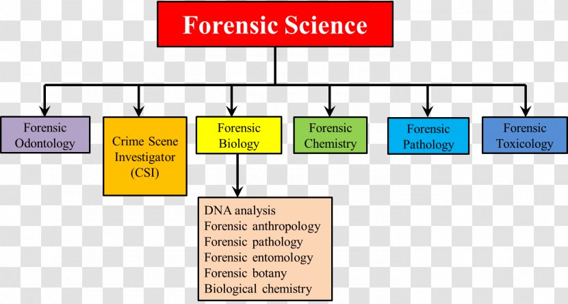 Forensic Science Pathology Dentistry Chemistry - Number - Sociology Transparent PNG