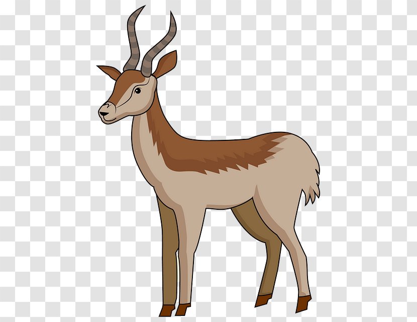 Antelope Wildlife Deer Gazelle Cow-goat Family - Pronghorn - Roe Transparent PNG