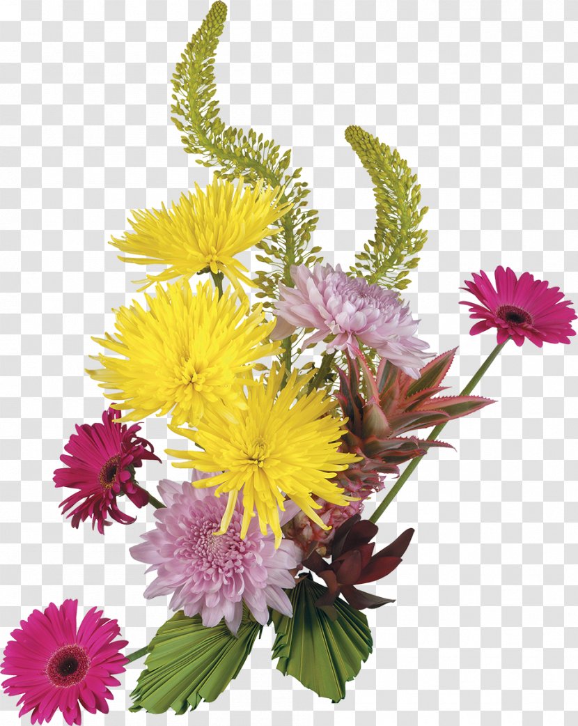 Flower Painting Blog Clip Art - Petal - Chrysanthemum Transparent PNG
