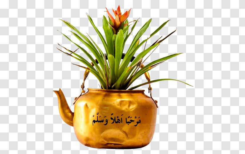 Pineapple Flowerpot Transparent PNG