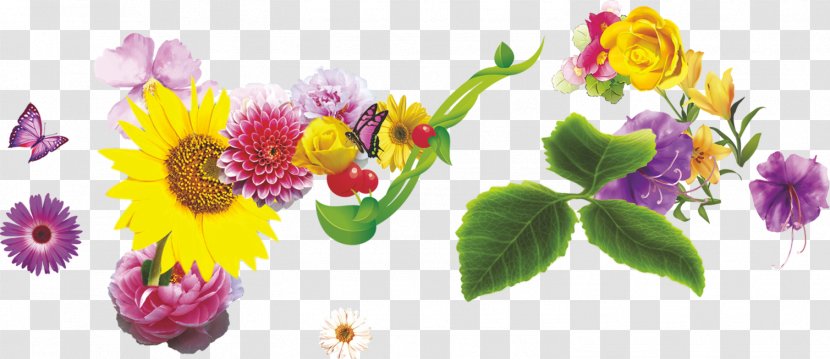 Floral Design Chrysanthemum Flower Chamomile - Plant Transparent PNG