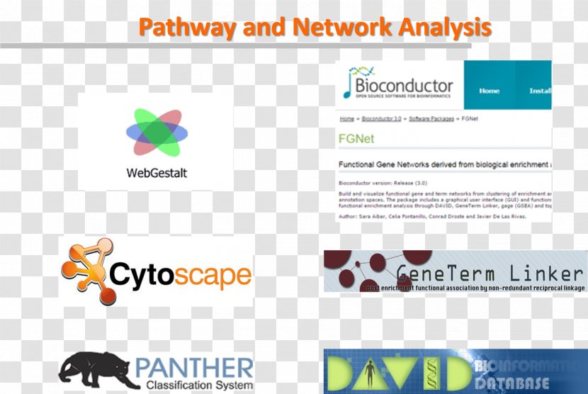 Web Page Logo Organization - Heatmap Rna-seq Transparent PNG