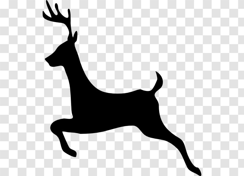 White-tailed Deer Moose Elk Clip Art - Hunting Transparent PNG