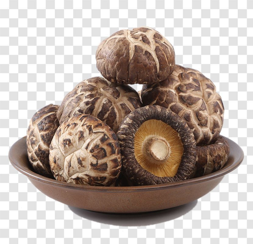 Shiitake Mushroom Food Drying Gutian County - Dry Flower Mushrooms Transparent PNG