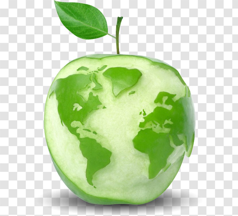 Apples Apple Cider Vinegar Food Company - GREEN APPLE Transparent PNG