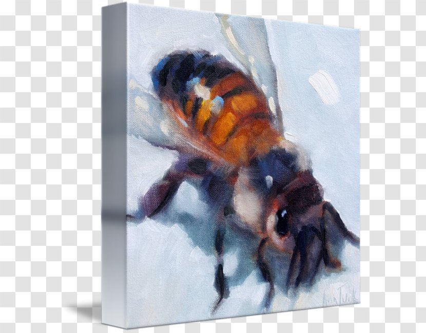 Insect Bee Gallery Wrap Canvas Pollinator Transparent PNG