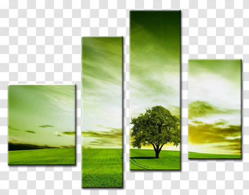 Tree Desktop Wallpaper Painting - Mirror - день рождения Transparent PNG