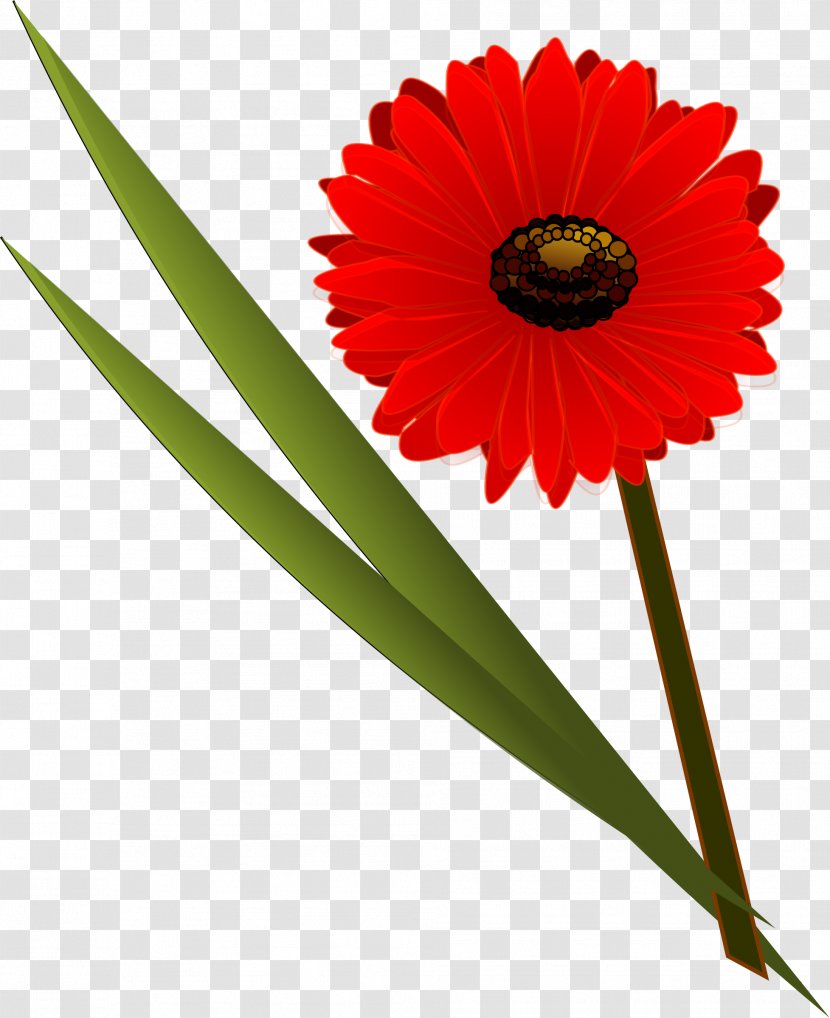 Flower Bouquet Clip Art - Daisy Family - Red Transparent PNG