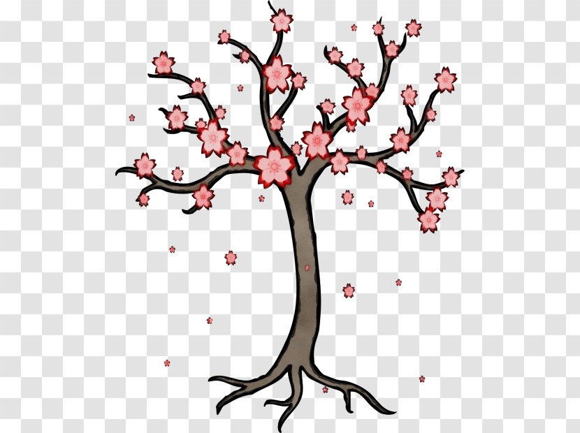 Cherry Blossom - Watercolor - Spring Woody Plant Transparent PNG