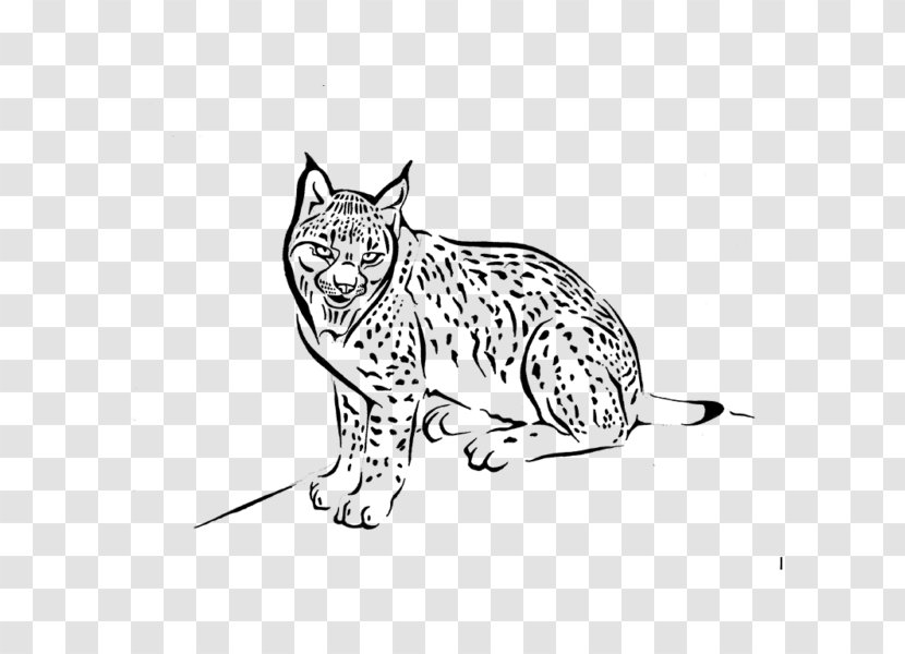 Whiskers Wildcat Paw Tours - Tail - Eurasian Lynx Transparent PNG