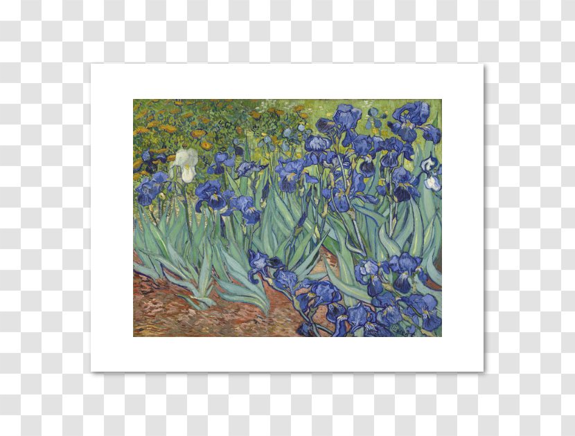 J. Paul Getty Museum Irises Center Painting Art - Postimpressionism - Van Gogh Transparent PNG