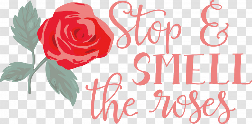 Rose Stop And Smell The Roses Transparent PNG