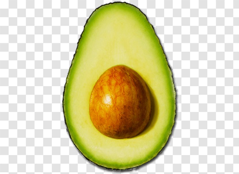 Avocado Superfood - Food - English Certificate Transparent PNG