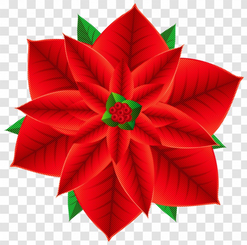 Origami - Plant - Holly Transparent PNG