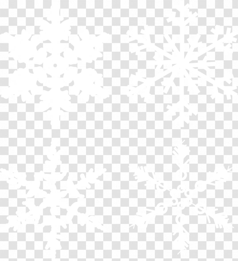 White House Samford University Website South Gate Search Engine Optimization - United States - Snowy Sky Snow Vector Material Transparent PNG