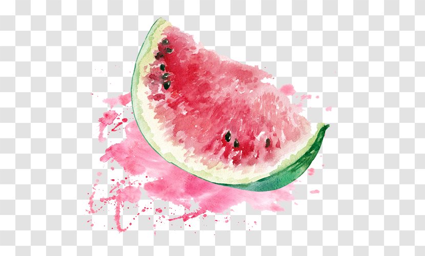 Watermelon Watercolor Painting - Auglis Transparent PNG