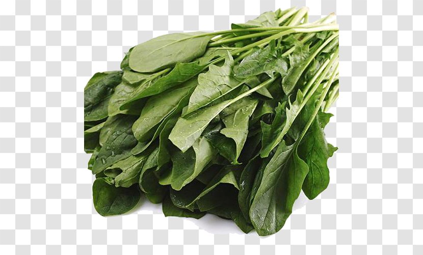 Spinach Organic Food Vegetable Carrot - Spring Greens - Green Vegetables Transparent PNG