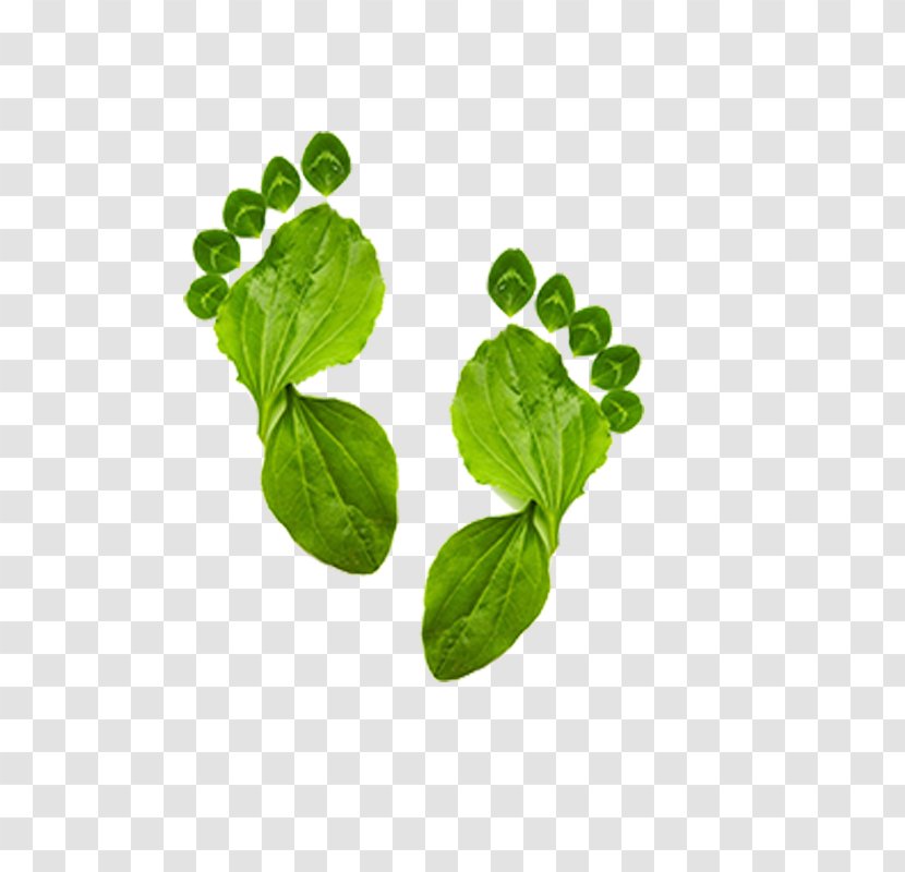 Ecological Footprint Environmentally Friendly Carbon Ecology - Stock Photography - Green Footprints Transparent PNG