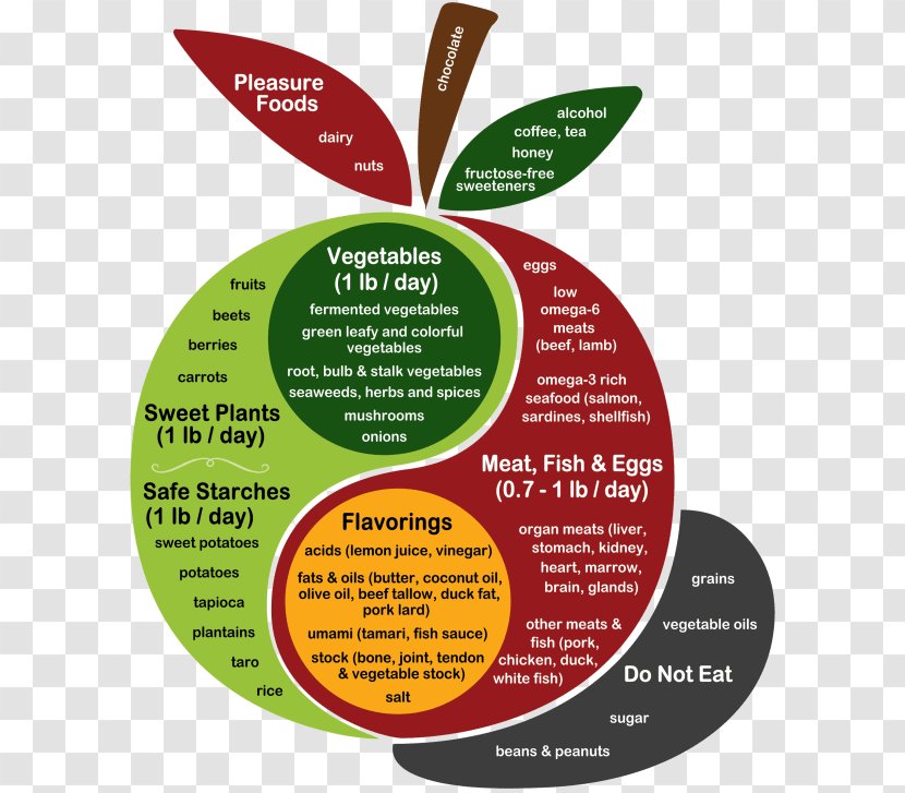 Perfect Health Diet: Regain And Lose Weight By Eating The Way You Were Meant To Eat Food - Diet Transparent PNG