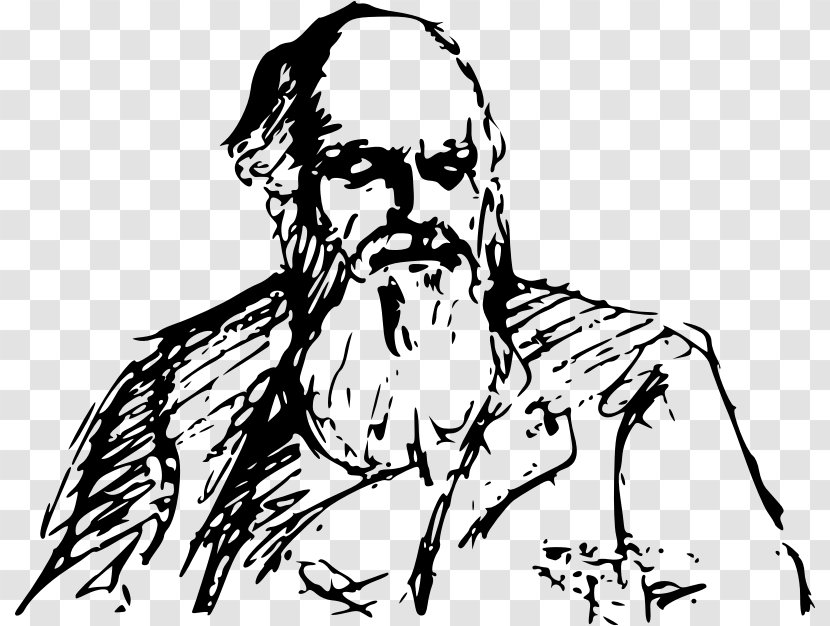 The Theory Of Evolution Scientist Science - Watercolor - Charles Darwin Transparent PNG