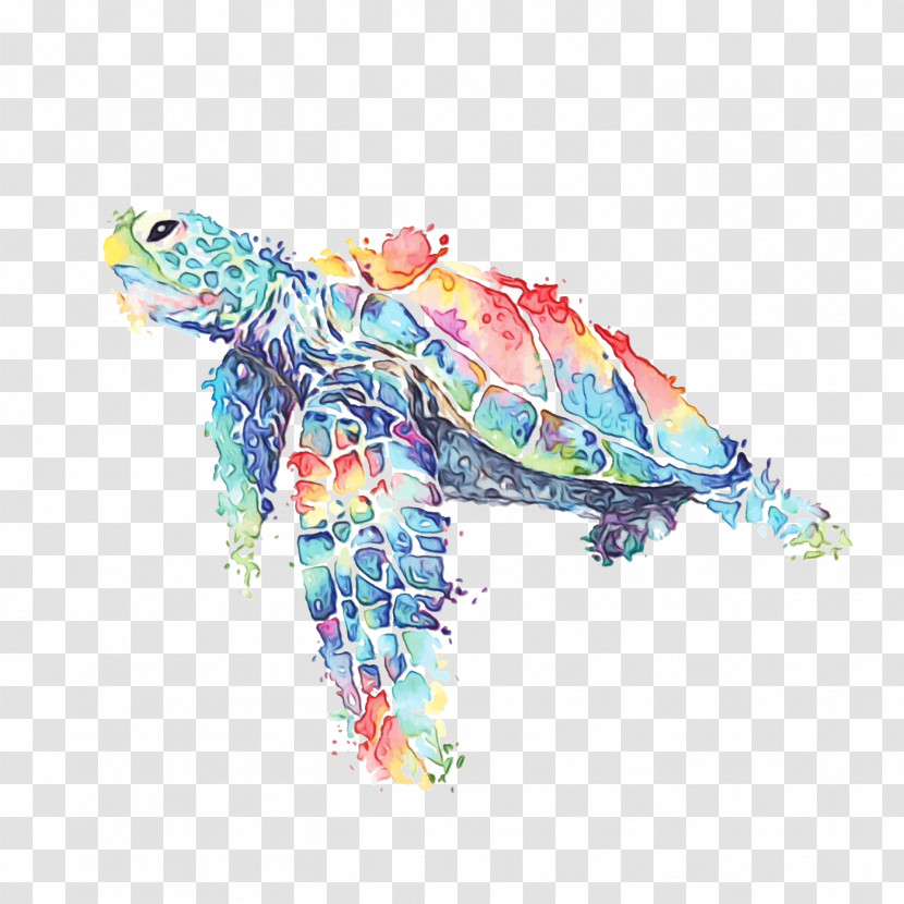 Sea Turtles Turtles Tortoise M Sea Tortoise Transparent PNG