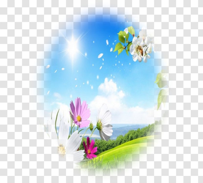 Gloud Games - Flowering Plant - Best Emulator For XBOX PC PS Desktop Wallpaper Greeting AndroidVINTILATING Transparent PNG