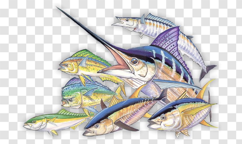 Illustration Fauna Cartoon Fish - Ocean Fishing Rods Travel Transparent PNG