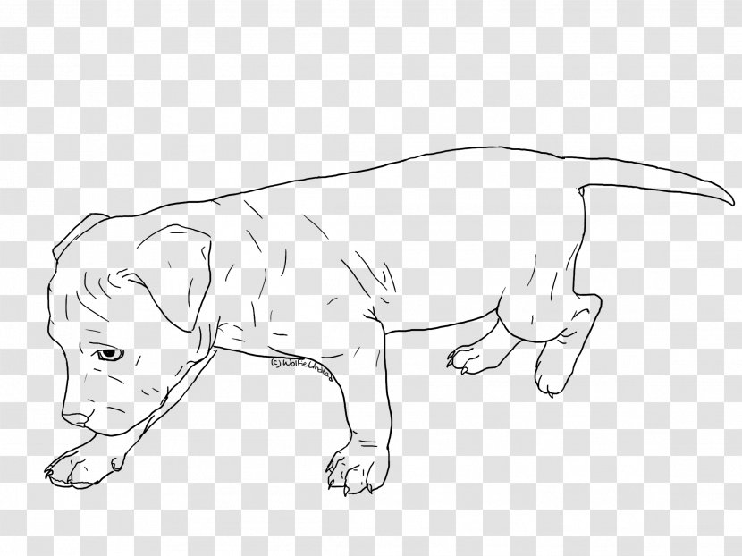 American Pit Bull Terrier Puppy Line Art - Figure Drawing - Pitbull Transparent PNG