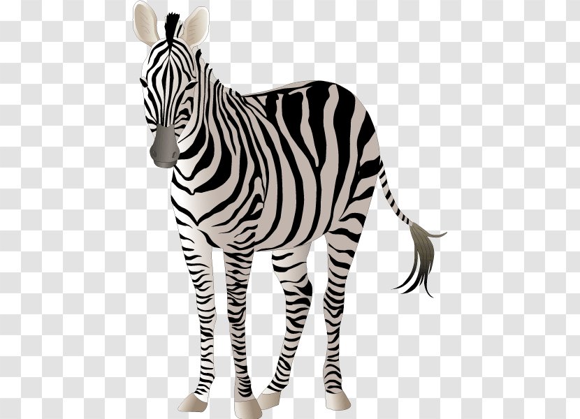 Quagga Horse Zebra Transparent PNG