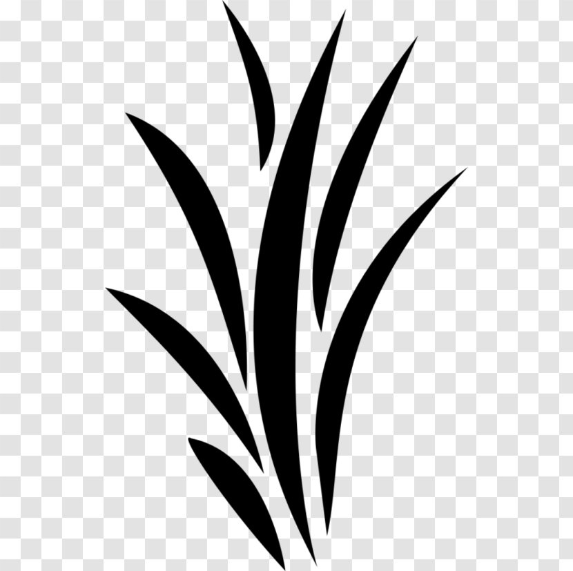 Black White Leaf M Flower Plant Stem Clip Art Transparent Png