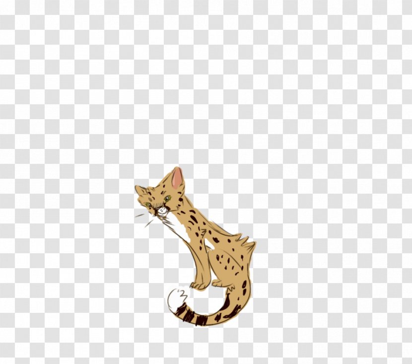 Cat Mammal Pet Carnivora Tail - Cheetah Transparent PNG