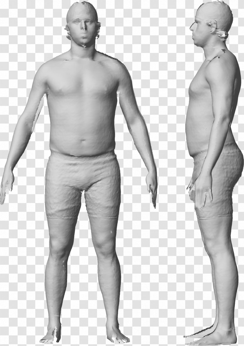 Human Body Homo Sapiens 3D Computer Graphics Modeling - Tree - Mannequin Transparent PNG